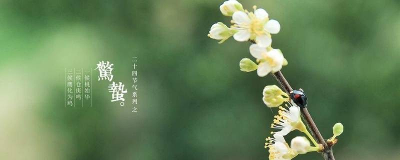 惊蛰到来后会有什么变化 惊蛰到来后会有什么变化写一写