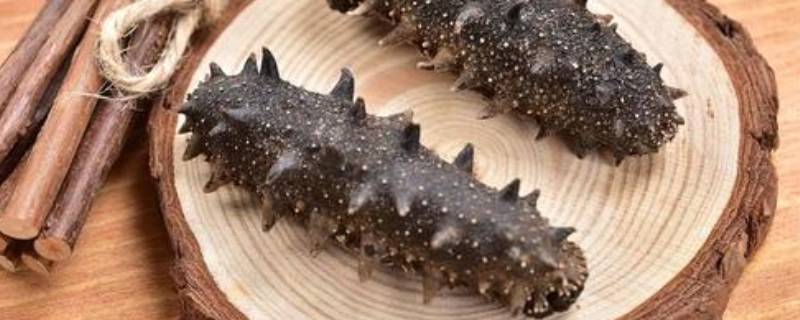 一斤干海参大约多少个 一斤干海参大约多少个,我们需要注意这些