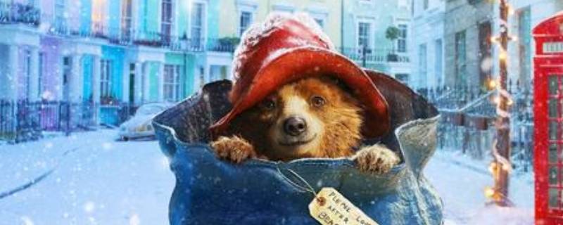 熊有尾巴吗 金丝熊有尾巴吗