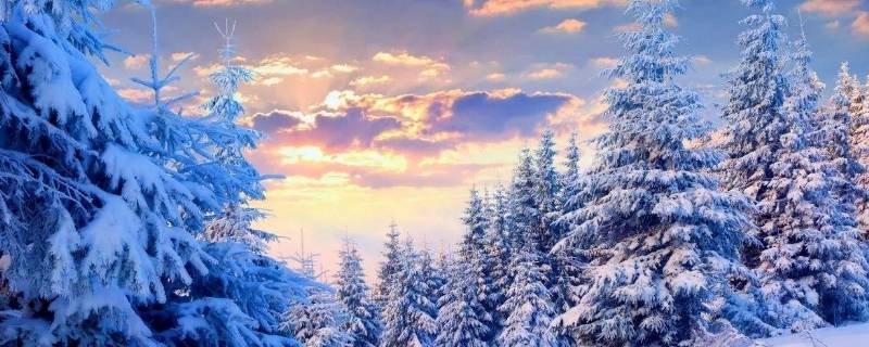 深冬一般指什么时候 深冬是几月份到几月份