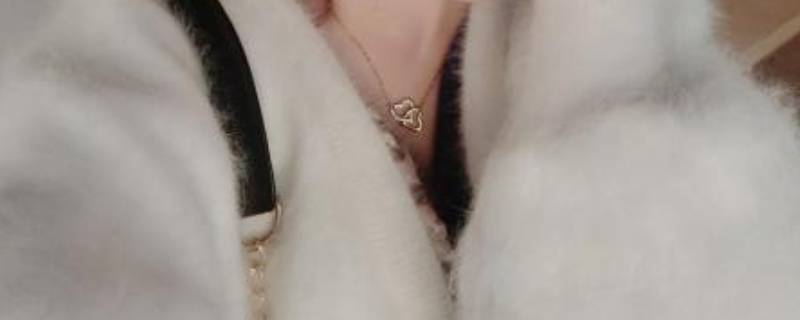 貂绒毛衣掉毛很厉害怎么处理 貂绒毛衣掉毛严重最有效的方法是什么