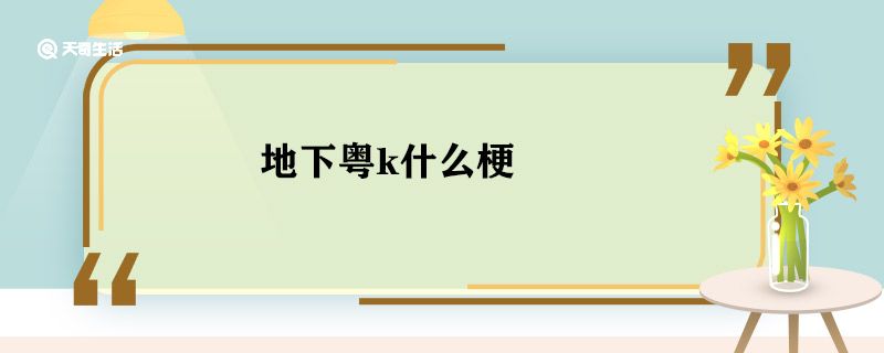 地下粤k什么梗 地下粤k什么意思