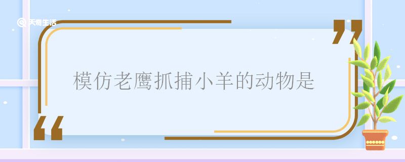 模仿老鹰抓捕小羊的动物是 模仿老鹰抓捕小羊的动物是什么