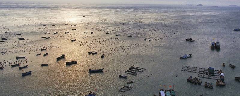 中国的舟山渔场建在什么流（中国的舟山渔场建在什么流域）