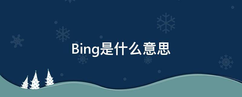 Bing是什么意思（禀是什么意思）