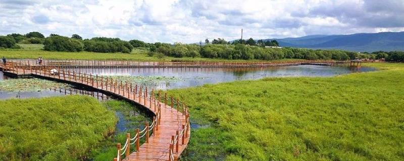 黑瞎子岛在黑龙江什么位置（中国收回全部黑瞎子岛）