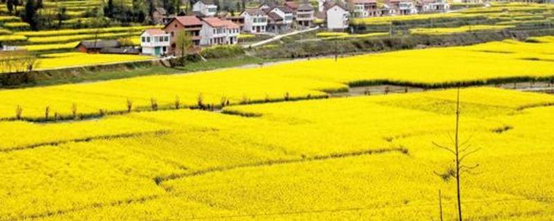 汉中平原面积有多大 关中平原与成都平原哪个面积大