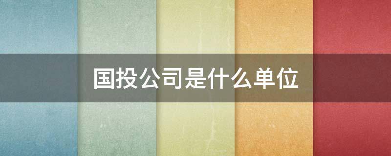国投公司是什么单位 城投公司是什么单位