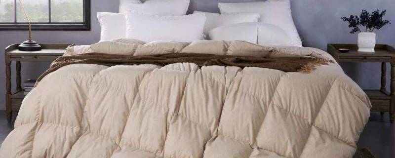 羽绒被可以用多少年（羽绒被用多少年就该换了）