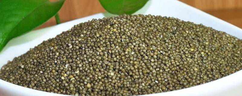 黑小米跟黄小米有什么区别（黑小米跟黄小米有什么区别呢）