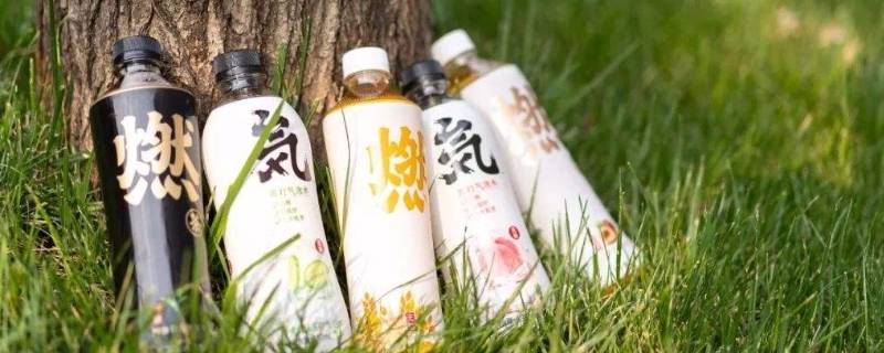 元气森林饮料是哪个公司的（元气森林饮料是哪个公司的,还有什么产品）