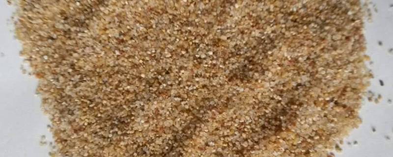 海砂属于什么资源（海砂属于什么资源类别）