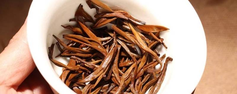 古树金针属什么茶 古树金针属什么茶价格