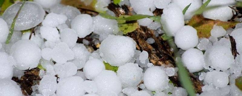 冰雹是哪个季节下的 冰雹是哪个季节下的,为什么