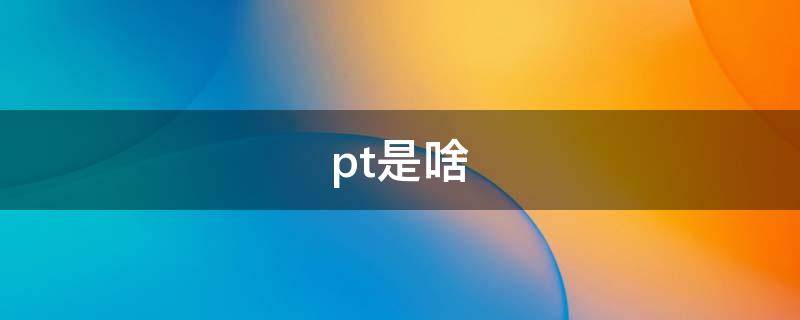 pt是啥
