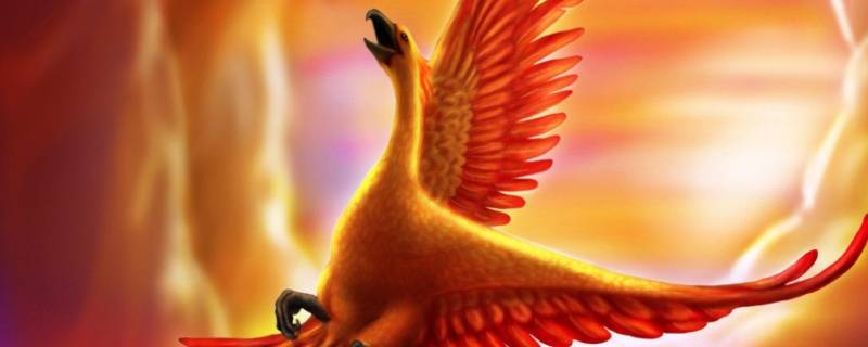 凤凰由来（凤凰由来的样子）