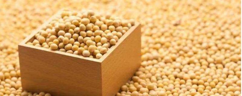 吃大豆会发胖吗 吃大豆减肥还是增肥