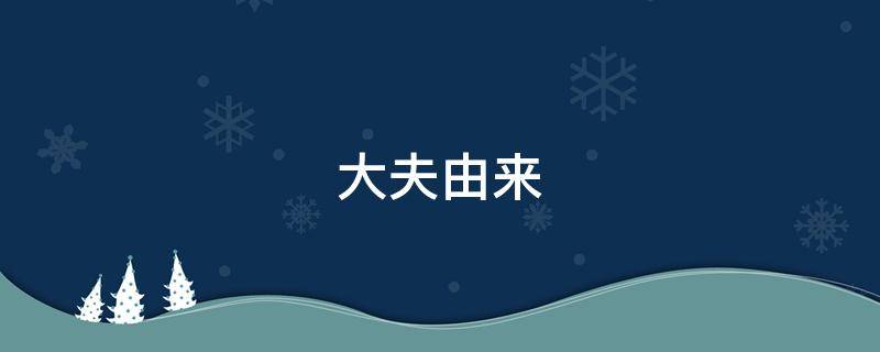 大夫由来 大夫的地位