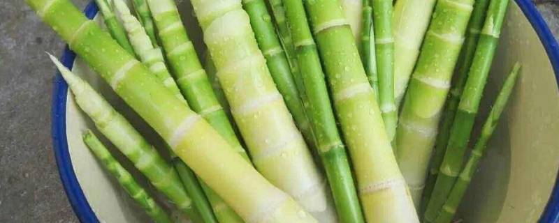 竹笋怎么挑选嫩的 竹笋怎么挑选嫩的还是柴的