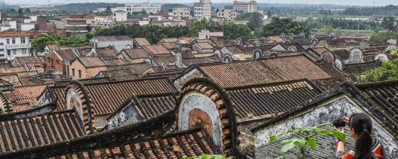 佛山特色（佛山特色介绍）