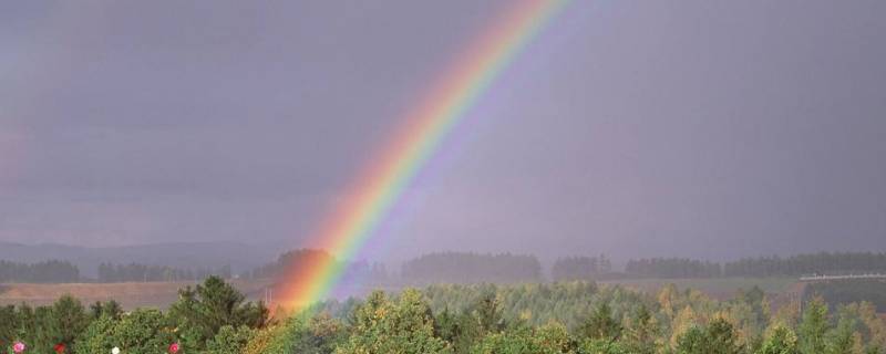 彩虹的七种颜色分别是什么（彩虹的七种颜色分别是什么图片）