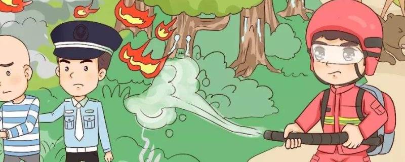 草原森林防火常识（草原森林防火知识）