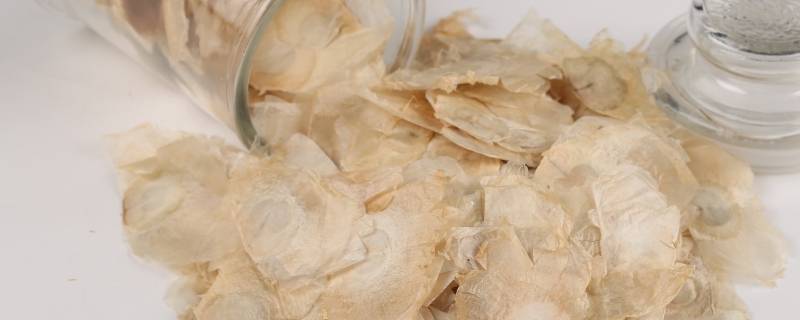 白故纸的别名（白故纸的别名中药是什么）