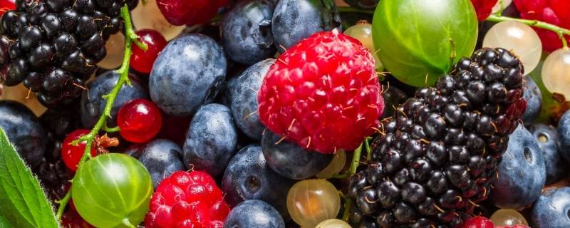 水果品种 水果品种大全名字