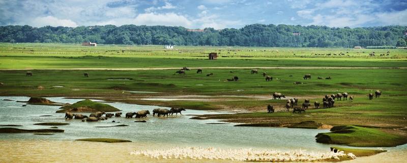 汨怎么读（汨怎么读音正确）