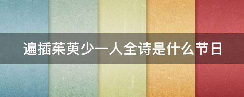 遍插茱萸少一人全诗是什么节日
