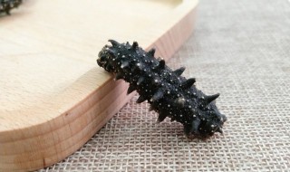 干海参怎样清洗得干净（干海参怎样清洗得干净呢）