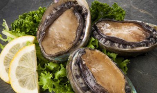 鲍鱼怎样清洗能干净 鲍鱼怎样清洗能干净一点