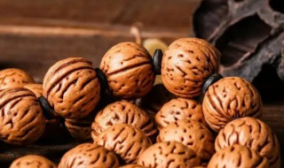 山桃核怎样才能清洗干净（山桃核怎样才能清洗干净呢）