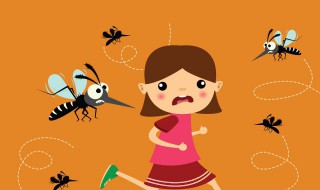 大蚊为什么叫蚊子杀手（大蚊子和蚊子）