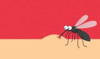 伊蚊按蚊库蚊的区别（按蚊和伊蚊区别）