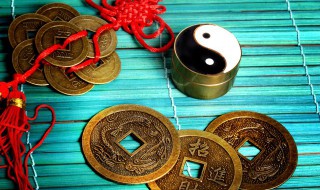 开车撞死猫有什么兆头 开车撞死猫意味着什么