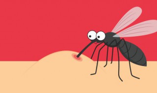 蚊子是怎么进来房间里面的 蚊子是怎么进来房间里面的 知乎