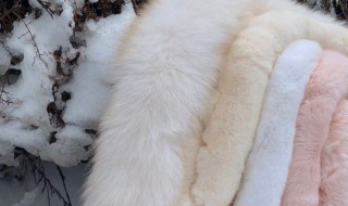 兔毛皮草熨烫里子可以吗 兔毛皮草皱了怎么办