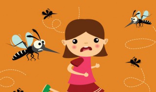 在学校里如何防蚊子 在学校怎么防蚊子