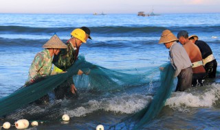 鱼的泥土味怎么去除 鱼的泥土味怎么去除啊