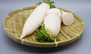 白萝卜怎么吃化痰 白萝卜生吃化痰吗