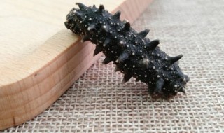 海参能放冰箱冷冻吗（海参能放冰箱冷冻吗能放多久）