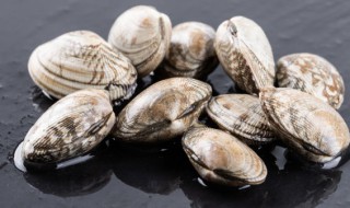 花甲能放冰箱冷冻吗 花甲能放冰箱冷冻吗多久