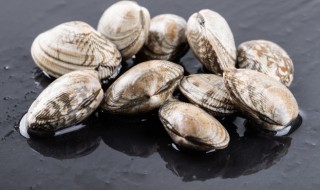 白贝能放冰箱吗 白贝能放冰箱吗