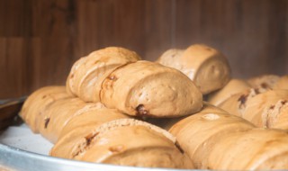 馒头要放冰箱吗 馒头要放冰箱吗多少度