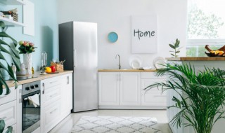 珍贵水可以放冰箱吗（水可以放冰箱冷藏吗）