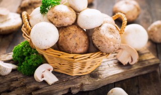 蘑菇可以放冰箱冷冻吗 蘑菇能不能冻冰箱