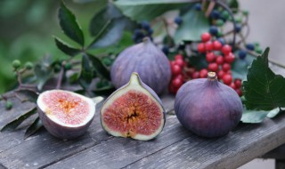 无花果能放冰箱冷藏吗 无花果能放冰箱冷藏吗冬天