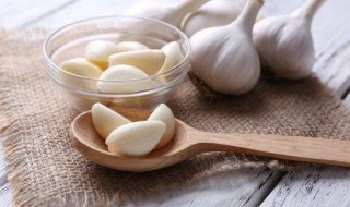 蚊子最讨厌什么气味（蚊子最讨厌什么气味儿）