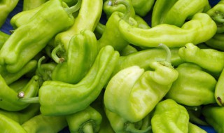 青辣椒可以放冰箱吗 青辣椒可以放冰箱吗冬天
